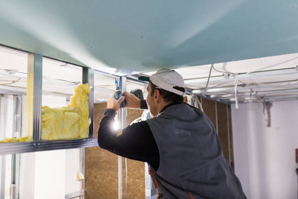Best Commercial Insulation in Clearwater, MN