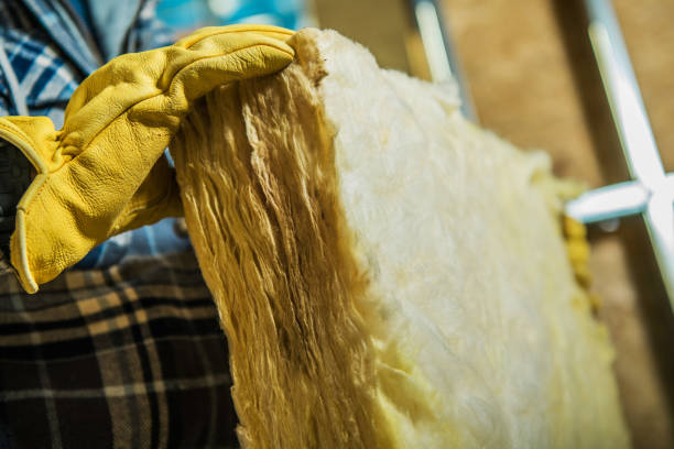 Best Types of Insulation in Clearwater, MN